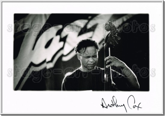 Anthony Cox (Trio "PLAY")